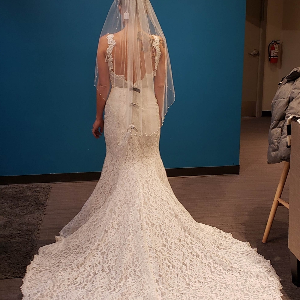 Pronovias all lace Wedding Dress, street size 4